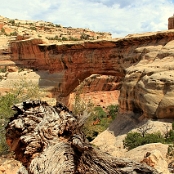Natural Bridges 03