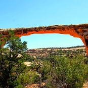 Natural Bridges 05