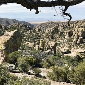 Chiricahua NM 03