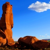 Arizona 04