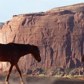 Arizona 14
Monument Valley