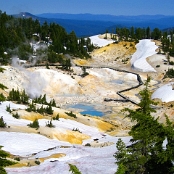California 11