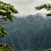 Hawaii 11