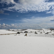 New Mexico 01
White Sands
					