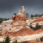 New Mexico 11