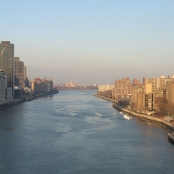 New York 12
