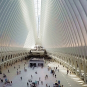 New York 20