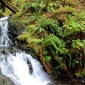 Oregon 01