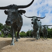 Texas 06
Dallas Pioneer Plaza