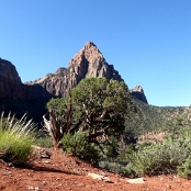 Utah 27 - Zion NP/Watchman Trail