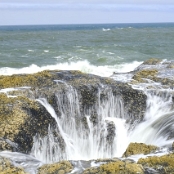 Oregon 09