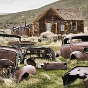 15 Bodie