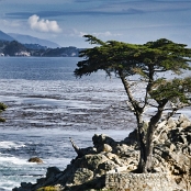 18 Lone Cypress - 17 Mile Drive/CA