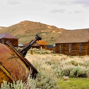 16 Bodie
