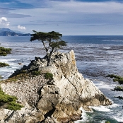 19 Lone Cypress - 17 Mile Drive/CA