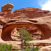 34 Tower Arch