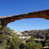 42 Natural Bridges NP