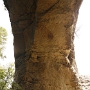 Natural Arch<br />Ich habe heute 10 Bilder mit Stativ oder Gozillapod gemacht, auf denen ich selber zu sehen bin. Und genau diese 10 x habe ich anschliessend vergessen, den Selbstauslöser wieder abzustellen. Langsam ist es sogar für mich nicht mehr lustig, 10 Sekunden warten zu müssen, vor allen Dingen, wenn man ein Tier vor der Linse hat oder im Auto sitzt und ein Strassenschild knipsen will....
