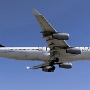 Lufthansa - Airbus A340-313 - D-AIGP "Star Alliance" special colours <br />LAX - In'n'Out Burger - 10.5.2022 - 5:05 PM