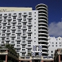 Royal Palm