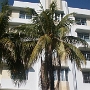Winter Haven
