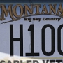 Licence Plate Montana