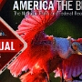 Nationalparkpass 2025<br />Bryce Canyon 17.-19.03.2025 - 35 $ - Grand Canyon 19.-21.03.2025 35 $