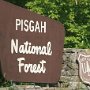 Pisgah National Forest