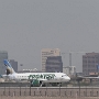 Frontier Airlines - Airbus A320-251N - N362FR "Wellington the Black-Footed Ferret "<br />Frontier Airlines - Airbus A320-251N - N349FR "Hops the Rabbit"<br />PHX - Salt River Shore - 2.5.2022 - 10:47 AM