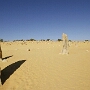 Pinnacles Desert
