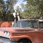 14.10.2011 - Hackberry
