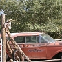 14.10.2011 - Hackberry