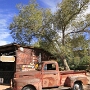 14.10.2011 - Hackberry