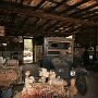 14.10.2011 - Hackberry