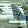Frontier Airlines<br />Airbus A319-111 - N908FR "Polly the Parrot"<br />Airbus A320-214 - N948FR "Pete the Pelican"<br />Airbus A320-214 - N213FR "Montana the Elk"<br />Airbus A320-214 - N219FR "Jack the Hare"<br />Airbus A319-115 - N953FR "O'Malley the Mallard Duck"<br />DEN - Terminal - 7.6.2014 - 7:56 AM