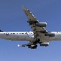 Lufthansa - Airbus A340-313 - D-AIGP<br />LAX - In'n'Out Burger - 10.5.2022 - 5:05 PM