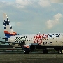 SunExpress Germany - Boeing 737-8Z9 - D-ASXB "Eintracht Frankfurt - die Rückkehr" Livery<br />DUS - Fototour - 25.3.2019