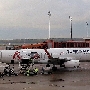 Turkish Airlines - Airbus A321-231(WL) - TC-JTE "Polatlı" "30 Years of Miles & Smiles" Sticker<br />TXL - Terminal D - 3.11.2019