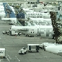 Frontier Airlines<br />Airbus A319-112 - N923FR "Rudy the Raccoon"<br />Airbus A319-111 - N908FR "Polly the Parrot"<br />Airbus A320-214 - N948FR "Pete the Pelican"<br />Airbus A320-214 - N213FR "Montana the Elk"<br />Airbus A320-214 - N219FR "Jack the Hare"<br />Airbus A319-115 - N953FR "O'Malley the Mallard Duck"<br />DEN - Terminal - 7.6.2014 - 7:56 AM