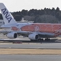 All Nippon Airways - Airbus A380-841 - JA383A "Flying Honu - Ra (Orange Turtle)" special colours<br />NRT - Terminal 1 Observatory - 22.03.2024 - 15:40