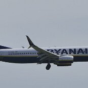 19.05.2026 - 10:57 - Point de vue aéroport (Colline) - Ryanair - Boeing 737-8AS - EI-DWC