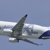 19.05.2026 - 14:16 - Point de vue aéroport (Colline) - Airbus Transport International - Airbus A330-743L Beluga XL Nr. 1 - F-GXLO
