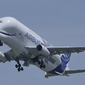 19.05.2026 - 14:16 - Point de vue aéroport (Colline) - Airbus Transport International  - Airbus A330-743L Beluga XL  Nr. 6 - F-GXLO