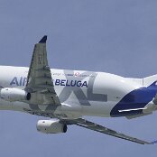 19.05.2026 - 14:16 - Point de vue aéroport (Colline) - Airbus Transport International - Airbus A330-743L Beluga XL Nr. 6 - F-GXLO
