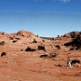 29.8.2002<br />North Coyote Buttes, der Tag an dem ich die Wave nicht gefunden habe.