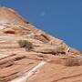 29.8.2002<br />North Coyote Buttes