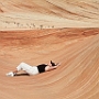 North Coyote Buttes