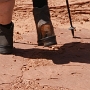 Nach einer Stunde machte sich die Sohle an Traudes Schuh selbstständig. <br />Hannes & Ich meinen: Schlecht vorbereitet.<br />Traude meint: Ich dachte, der hält das noch aus.<br />Der ist also nicht erst hier kaputt gegangen, der war vorher schon nicht mehr ganz in Ordnung....