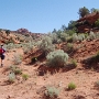 Der Abzweig zu den Coyote Buttes