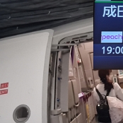 VolkerFly - 21.03.2024 - Peach - Airbus A320-251N - JA208P - Fukuoka -  Tokyo/NRT - MM526  - 12F - 1:20 Std - 124 €
